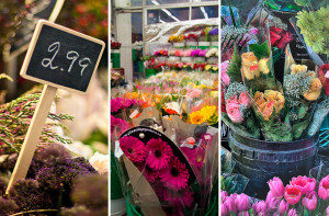 Here are the best florists in Toronto. For more ideas of where to buy ...