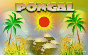 Awesome desktop background of Pongal festival with green palm tree