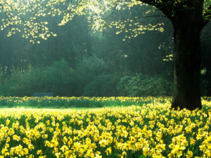 Amy Stebbins...living a fashionable life.