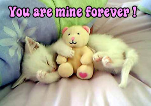 You are mine forever !