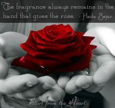 Quotes about roses