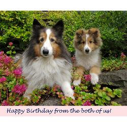 happy_birthday_from_both_of_us_greeting_card.jpg?height=250&width=250 ...