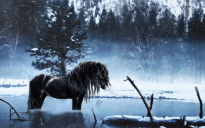 horses fantasy art winter wallpaper background