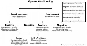 Operant Conditioning: This basic system of rewards and punishment ...