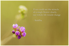 ... quote buddha philosophy lord quotes micro handheld change nikkor