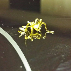 The rare dabby longleg makes its home atop your freshly loaded bowl ...