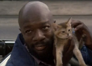 Tags cat isaac hayes music legends with cats photo