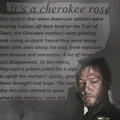 The Walking Dead Daryl Dixon Quotes 1k the walking dead glenn rick