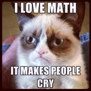 Grumpy Cat & math. | Classroom Quotes