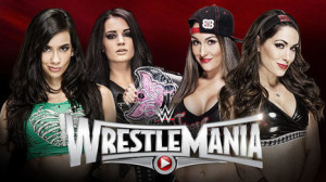 WWE AJ Lee & Paige vs Bella Twins Fastlane Predictions Match Results ...