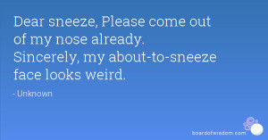 sneeze please come out of my nose already sincerely my about to sneeze ...