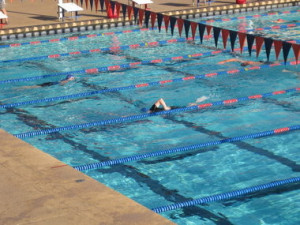 Previous article Pause Reading list Next article 1 on 2