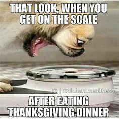 ... Look When You Get On The Scale After Eating Thanksgiving Dinner More