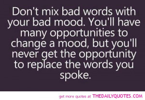 ... Never Get The Opportunity to Replace the Words You Spoke ~ Life Quote