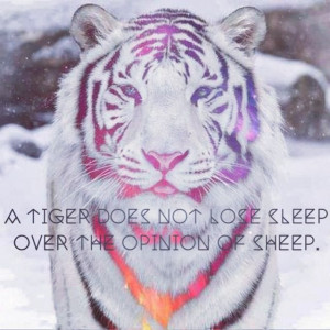 tiger #strength