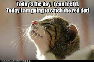 believe every day my cats think this will happen...
