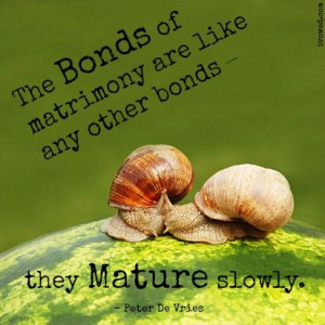 ... any other bonds they mature slowly peter de vries # quotes # marriage