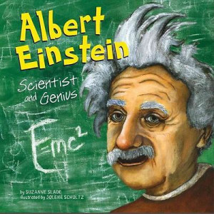 ... Albert Einstein Mad Scientist ADULT GREY GENIUS WIG W/ BALD HEADPIECE