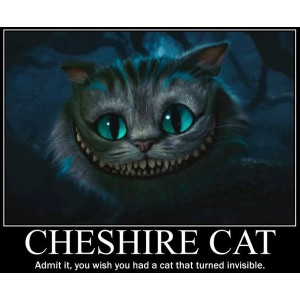 Cheshire Cat liked on Polyvore