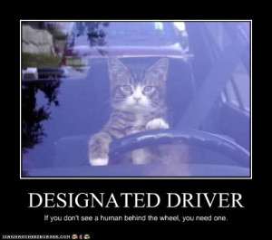 designated driver dd funny