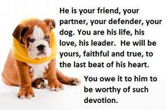 ... Dogs Quotes, Dog Lovers, English Bulldogs, Dogs Lovers, Bulldogs Facts