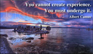 You Cannot Create Experience. You Must Undergo It. - Albert Camus