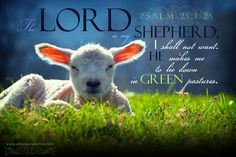 The Lord is my Shepherd, I shall not want. He makes me to lie down in ...