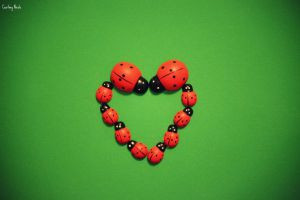 Love You Ladybug Picture
