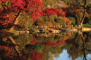 XTW Temple Garden