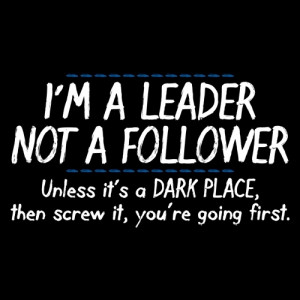 Leader Not A Follower, Unless It's A Dark Place, Then Screw It ...
