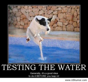 Testing the water US Humor - Funny pictures, Quotes, Pics, Photos ...