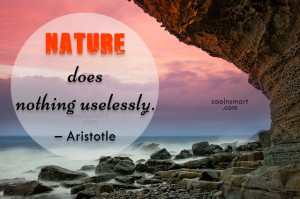 Nature Quote: Nature does nothing uselessly. – Aristotle