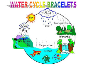 The Water Cycle