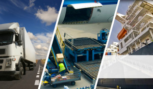 Frank Leo, SRL., is one of the principal