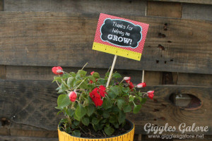 Teacher Appreciation Gifts