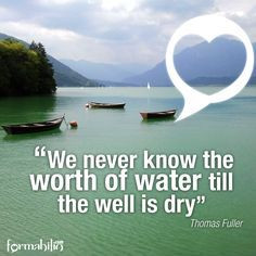 We never know the worth of water till the well is dry. - Thomas Fuller