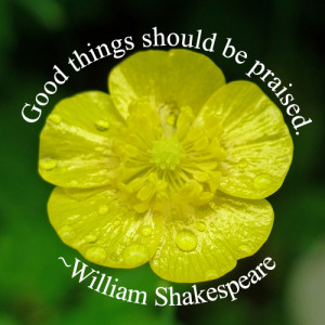 Good things should be praised. — William Shakespeare