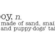 boy definition - made of sand snail s and puppy dog tails - Vinyl Wall ...