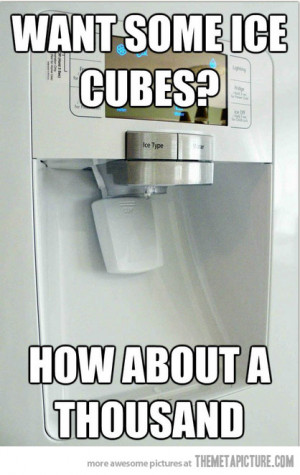 Funny photos funny fridge ice cubes
