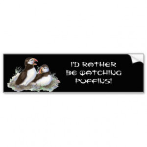 Quote, Rather be Watching Puffin Birds Bumper Sticker