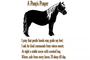 138 hq pony with a pony s prayer quote 28 x 37 inches 24 00 continue