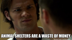 Funny Quotes Contact Us DMCA Notice