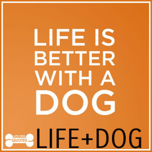 Quotable Quotes from LIFE+DOG