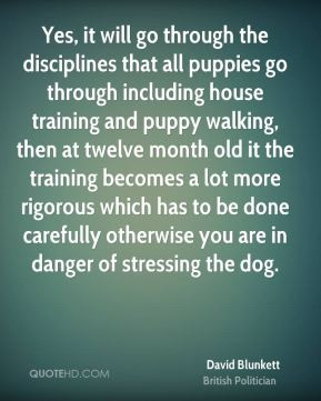 Yes, it will go through the disciplines that all puppies go through ...