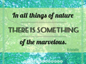 The 44 Best Quotes About Nature