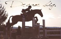 dream big dream big, silhouett, hors, beauti anim, dreams, equestrian ...