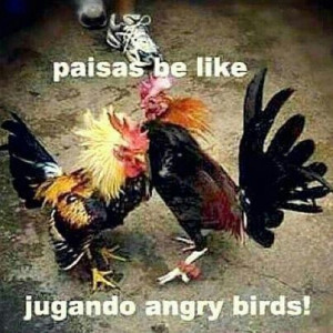 Paisas Be Like Jugando Angry Birds!