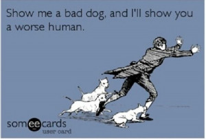 Show Me A Bad Dog