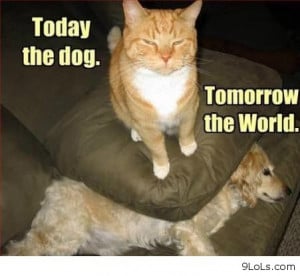 Today The Dog. Tomorrow The World ~ Funny Animal Quote