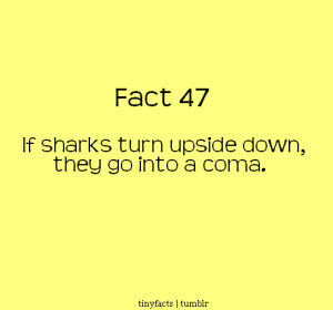 Fact Quote ~ If sharks turn upside down they go into a coma.